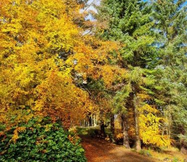 Blairgowrie House | Our Log House in the woods