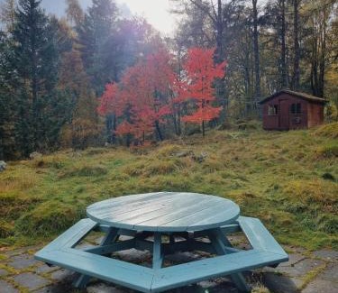 Blairgowrie House | Our Log House in the woods