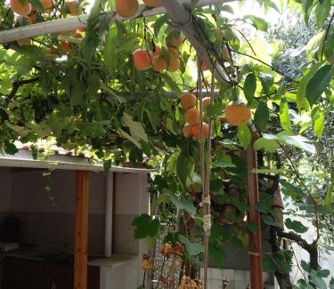 Skala Kallirachis House | Our parent's house. Family house for rent