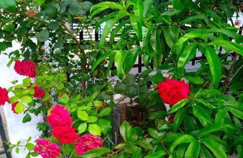 Skala Kallirachis House | Our parent's house. Family house for rent