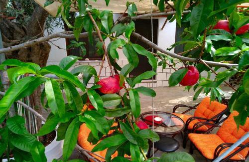 Skala Kallirachis House | Our parent's house. Family house for rent