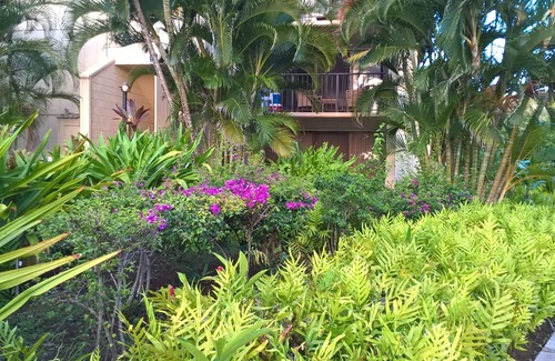 Hanamaulu Condo | Over 350 Avg 5.0 Star Reviews Say It all! This Is The Best Deal On Kauai!n.