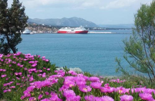 Rafina-Pikermi Apartment | Overlooking the blue sea