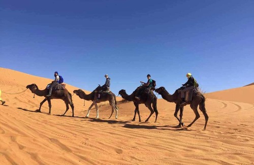 Merzouga Bed & Breakfast | Overnight Camp Merzouga & Camel Tours