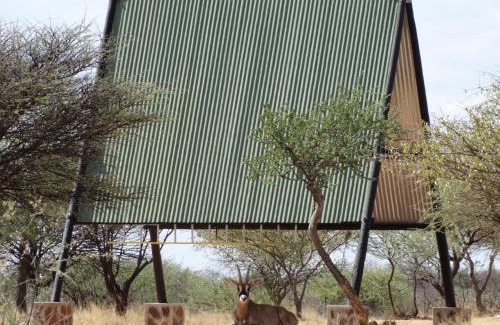 Otjozondjupa Region Other | Ovita Wildlife Restcamp
