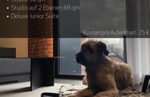 Guetersloh Apartment | PÖLTER bei MARKUS T