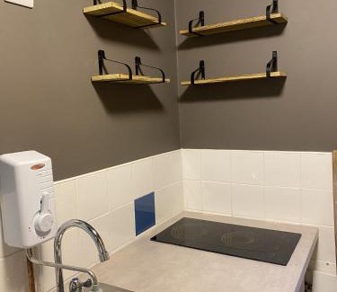 Tavistock Apartment | Paddons Lodge