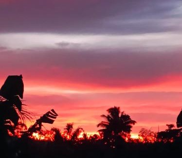 Tetebatu Hotel | Padi Bungalow