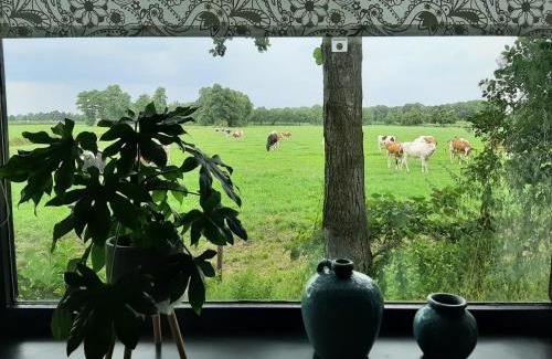 Geesteren Other | Pak oe rust, bij stacaravan Busscher
