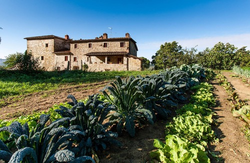 Pelago Apartment | Palaia farm, accommodation "FOCOLARE"