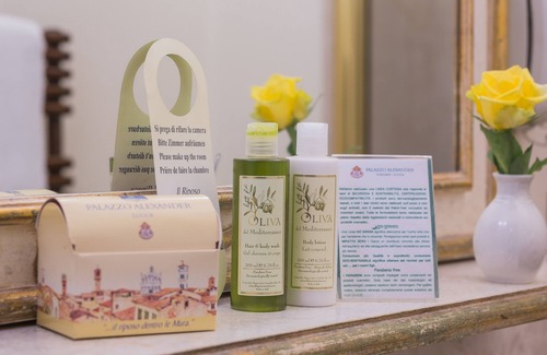 Lucca Historical Center Hotel | Palazzo Alexander Hotel