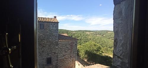 Castellina in Chianti Apartment | Palazzo Bianciardi Attico