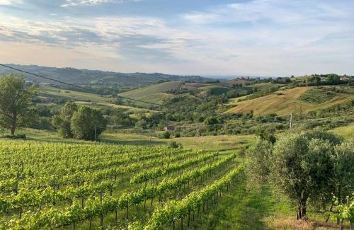 Borghi Bed & Breakfast | Palazzo Gessi Room and Breakfast