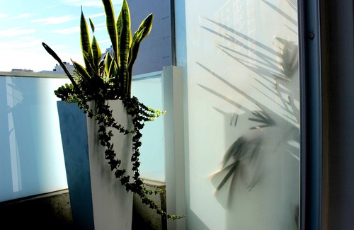 Palermo Apartment | Palermo Hollywood StayingAlive(Pool-Terrace-Sauna)