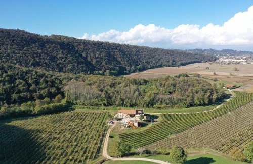 Magugnano Apartment | Palladio Vineyard