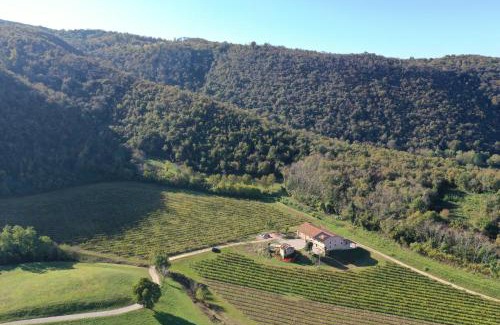 Magugnano Apartment | Palladio Vineyard