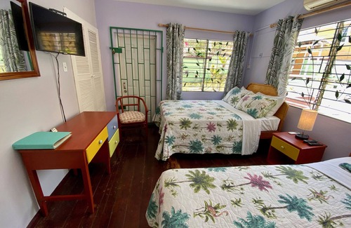 Montego Bay Bed & Breakfast | Palm Garden
