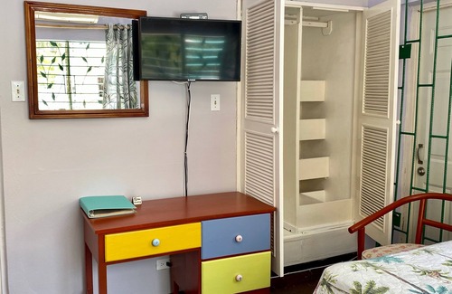 Montego Bay Bed & Breakfast | Palm Garden