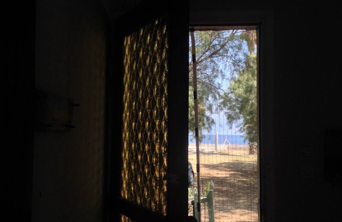 Phocis Region House | Palm tree house by the beach