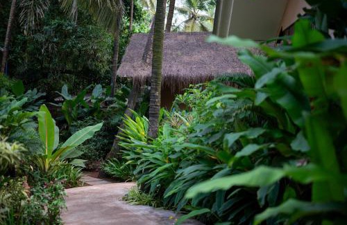 Ashvem Resort | Palma Beach Resort