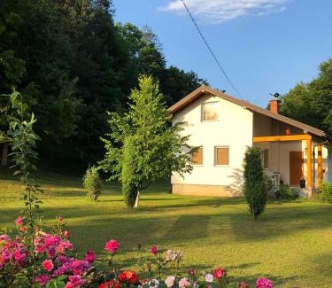 Tuzla Canton House | Palučak 30