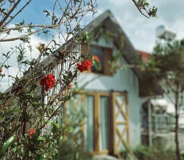 Phuong House | Pampas House