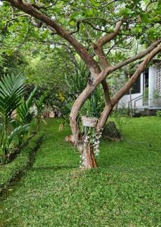 Pollachi House | Pannadikadu Homestay