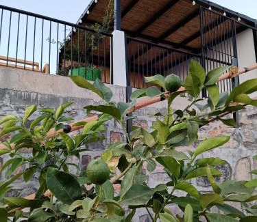 Al Hamra Ski Chalet | Panorama almisfah