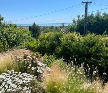 Balatonfured Apartment | Panorama Vine House