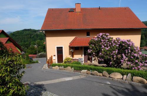Sebnitz Apartment | Panoramablick