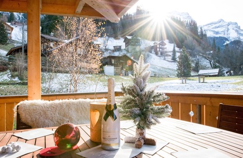 Wengen Apartment | Panoramapark Soleil Camelia Apt. Akroyd