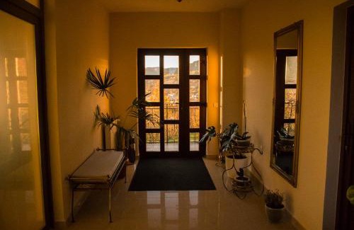 Baia-Sprie House | Panoramic