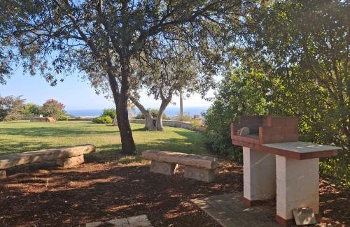 Impalata Villa | Panoramic trulli with swimming pool in Monopoli