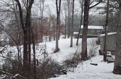 Qualla Cabin | Papa Bear Bear-a-Dice CABINS Hot tub firepit BBQ hiking trails near Cassino