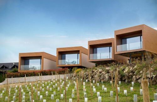 Lamego Cabin | Paraíso Douro AL