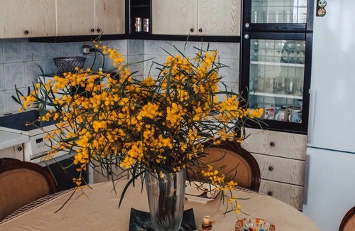 Vrachasi House | Paradise home