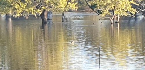 Grootfontein Other | Paradise Nature Tented Camp