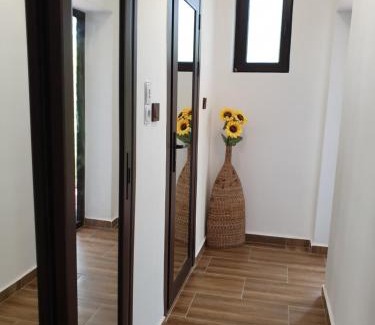 Polski Trambesh House | Paradise Park