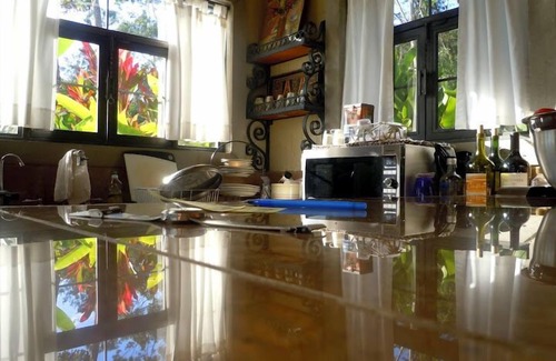 Orosi Villa | Paradise Peak -262 Five Star Reviews - Romantic Garden Villa with Jacuzzi