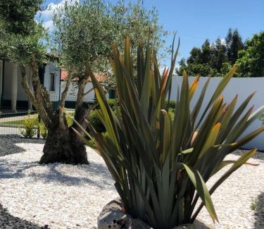 Sao Martinho do Porto House | Paradise Valley House