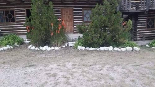 Creel House | Parador Arew La Energa Que Impulsa El Alma