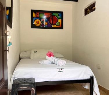 Salento House | Paraiso Cocora