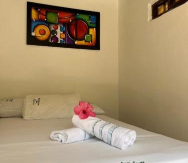 Salento House | Paraiso Cocora