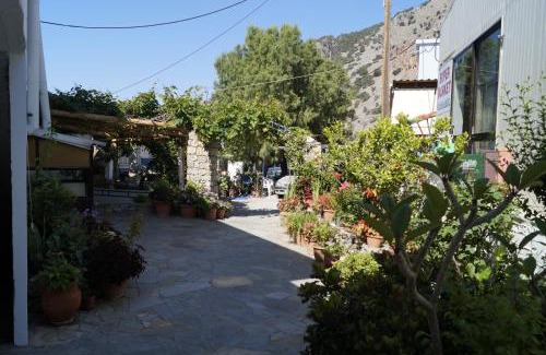 Agia Roumeli House | Paralia guest house