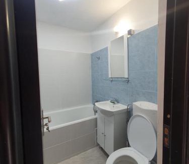 Drumul Taberei Apartment | Parc Moghioros, Valea Argeșului