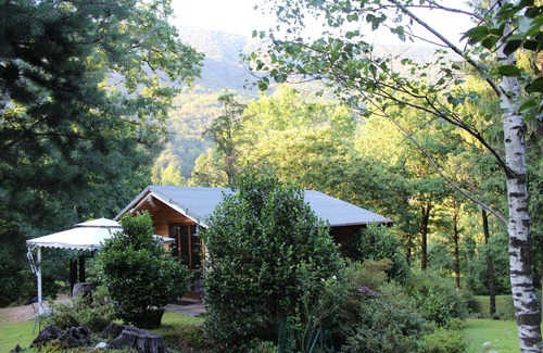 Mergozzo Ski Chalet | Parco Botanico Fiorlago