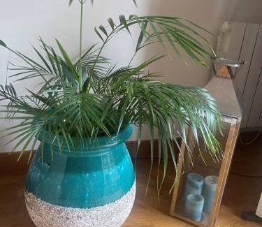 Meudon Apartment | Paris & Versailles at your feet! Shared room in nice house