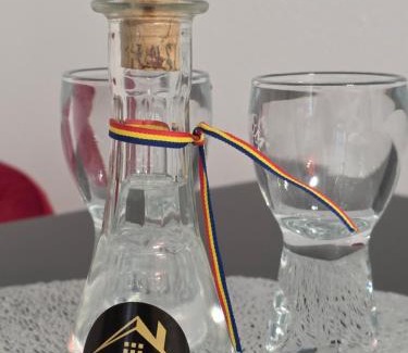 Fagaras Apartment | park32