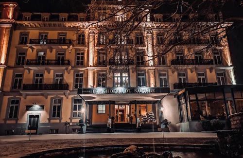 Meiringen Hotel | Parkhotel du Sauvage