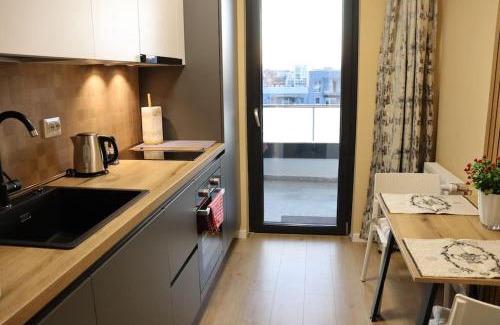 Cluj County Apartment | ParkLake Home